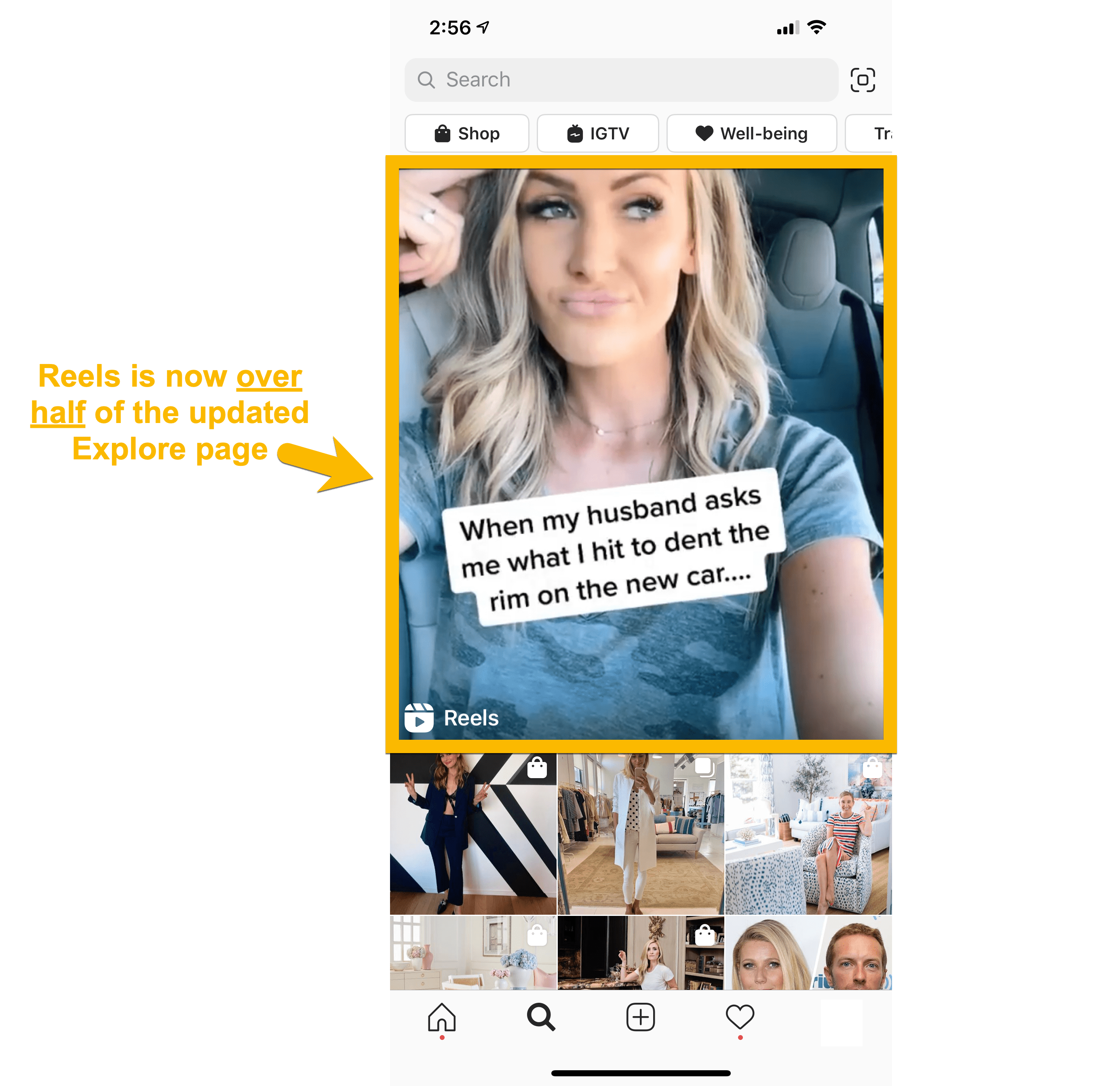 Max Explore Reels Instagram - Best Nature Backgrounds in High Resolution